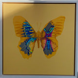 Van Donna - Aura (CANVAS edition)