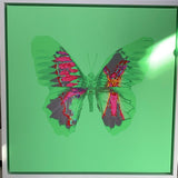 Van Donna - Aura (CANVAS edition)